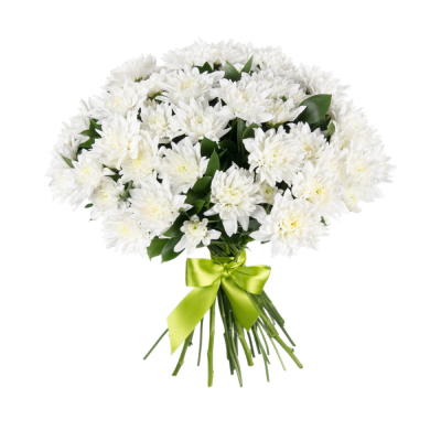 Букет «Белый ангел» – скульптурная чистота белых хризантем Цивильск Чувашская Республика