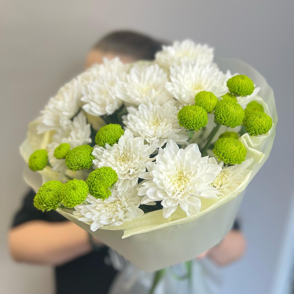 Эксклюзивный букет «Филин Грин» – сочетание белых и зеленых хризантем Цивильск Чувашская Республика