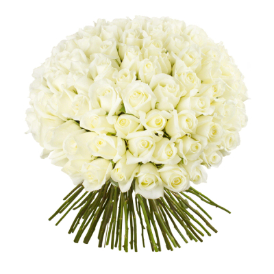 Роскошный букет из 101 белой розы – воплощение бесконечной любви Цивильск Чувашская Республика