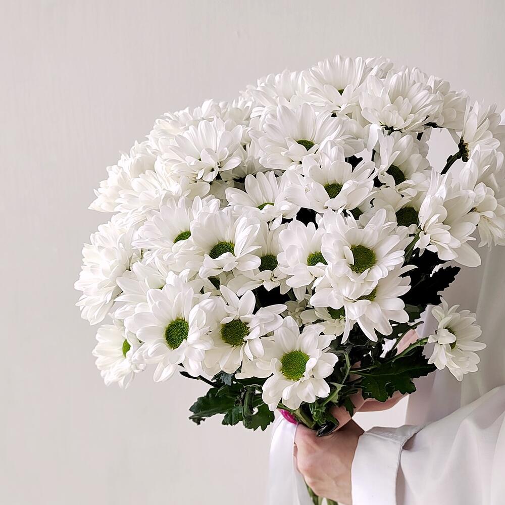 Букет «Ромашка» – 9 белоснежных хризантем в деревенском стиле Цивильск Чувашская Республика