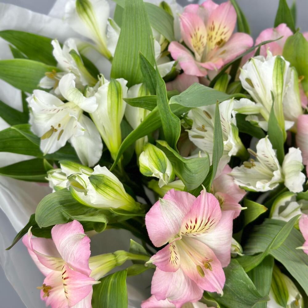 Букет «Нежность» – трогательное сочетание белых и розовых альстромерий Цивильск Чувашская Республика