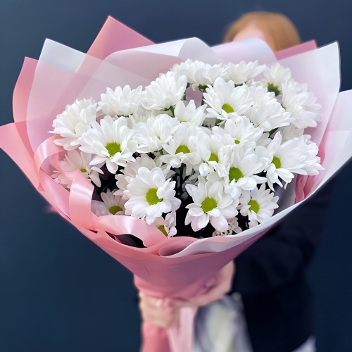 Букет «Розовое счастье» – нежность белых хризантем Цивильск Чувашская Республика