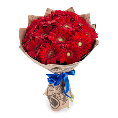 Яркий букет из 15 красных гербер – воплощение страсти и жизнерадостности Цивильск Чувашская Республика