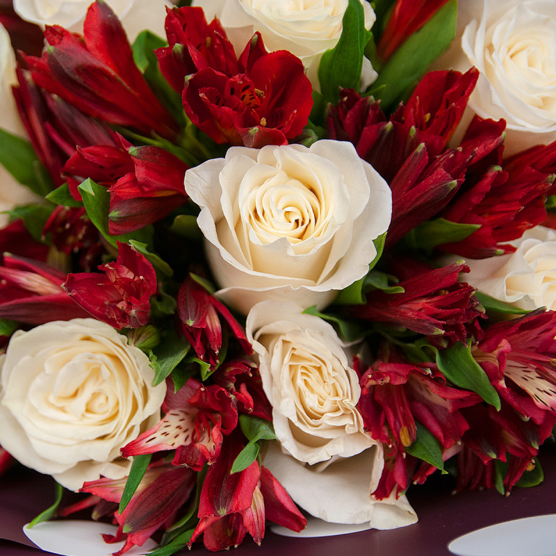 Букет из белых роз и красных альстромерий – гармония страсти и чистоты Цивильск Чувашская Республика