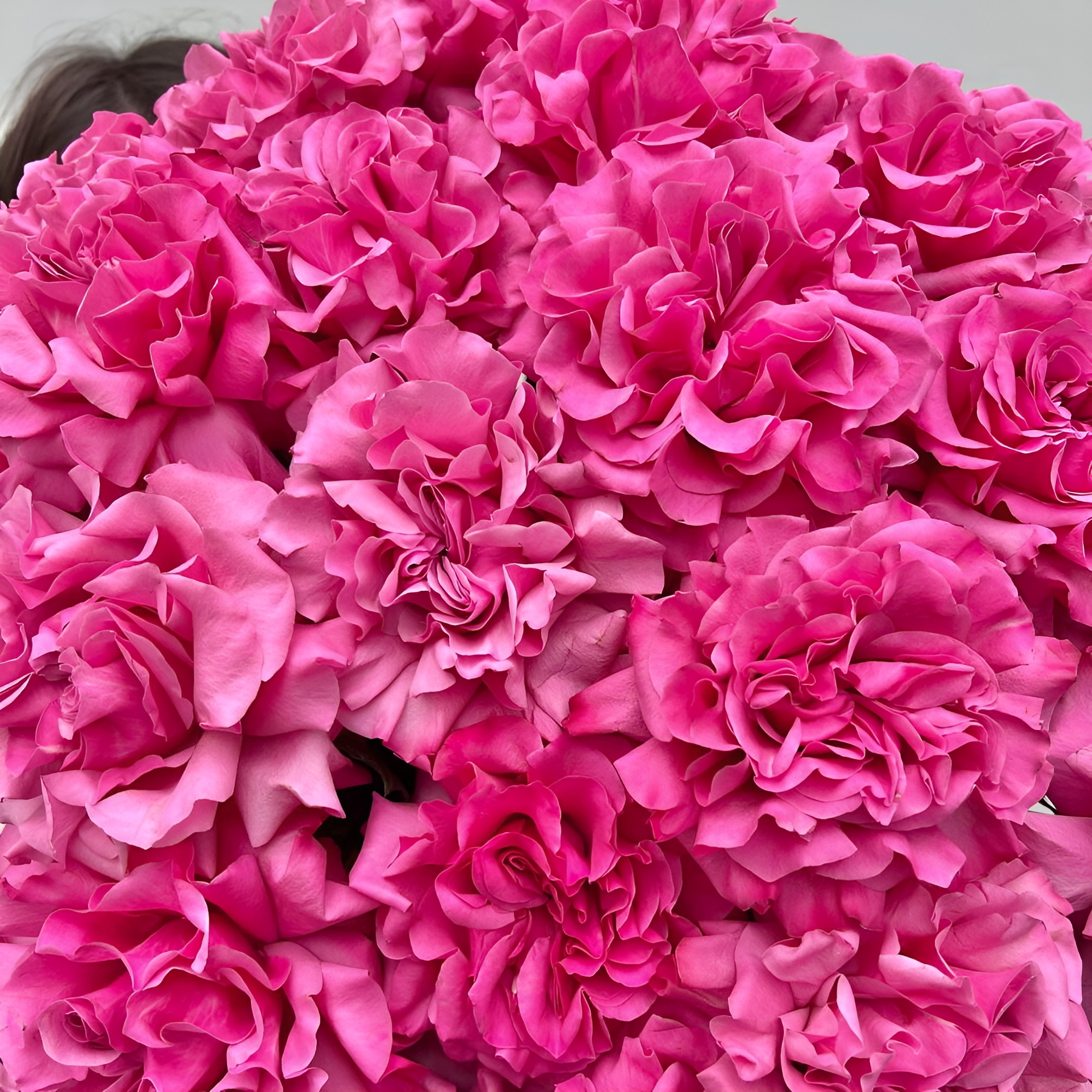 Роскошный букет из пионовидных роз – королевский подарок Цивильск Чувашская Республика