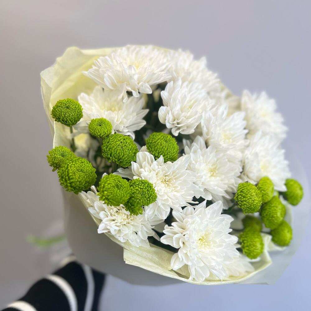 Эксклюзивный букет «Филин Грин» – сочетание белых и зеленых хризантем Цивильск Чувашская Республика