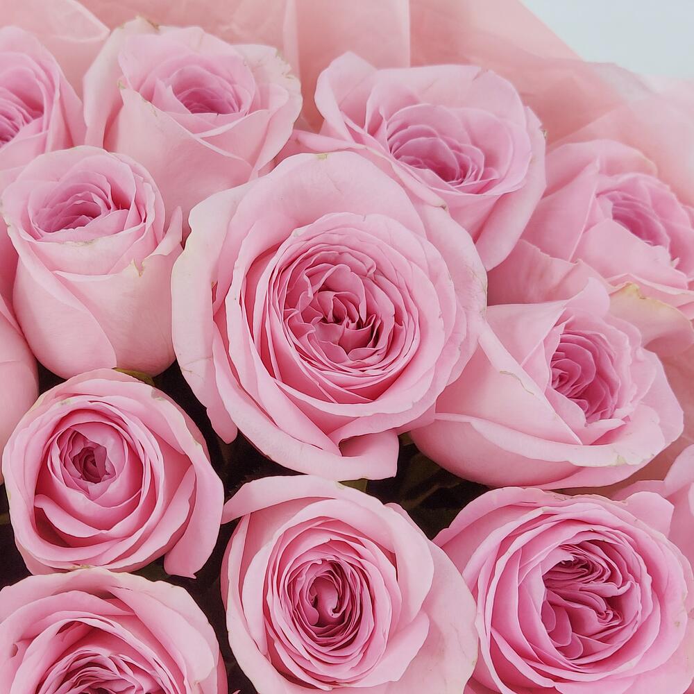 Букет из нежно-розовых роз – элегантность в каждом лепестке Цивильск Чувашская Республика