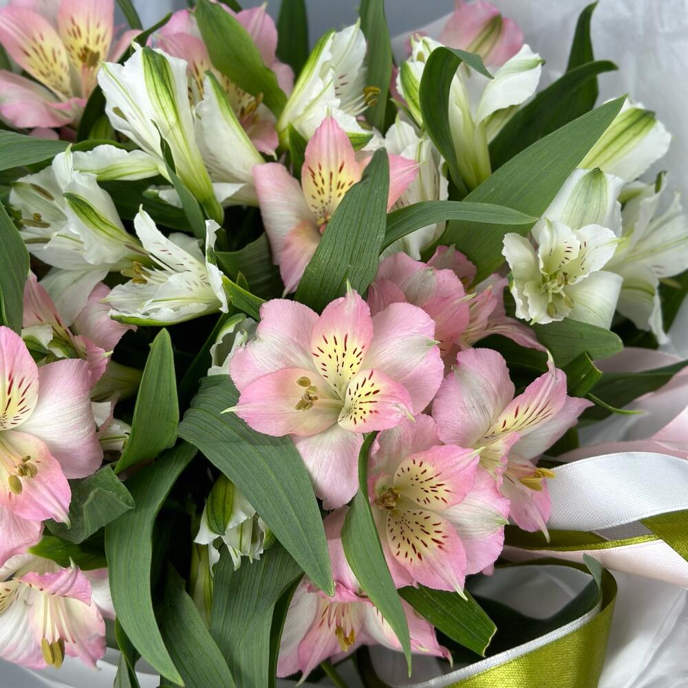 Букет «Нежность» – трогательное сочетание белых и розовых альстромерий Цивильск Чувашская Республика
