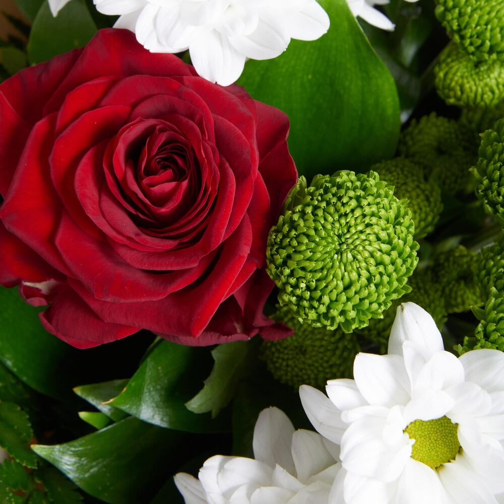 Букет «Настроение» – гармония красных эквадорских роз и нежных хризантем Цивильск Чувашская Республика