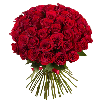 Букет «О, Шарман!» – 51 роскошная эквадорская роза Цивильск Чувашская Республика