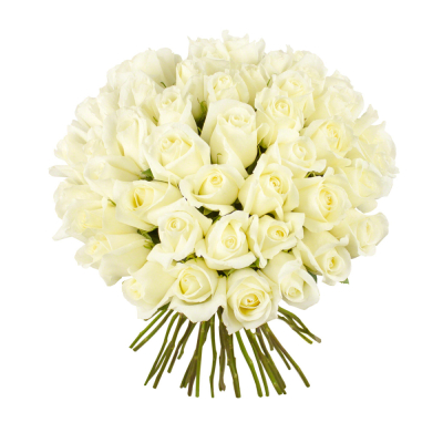 Роскошный букет из 51 белой розы – символ безграничной преданности Цивильск Чувашская Республика