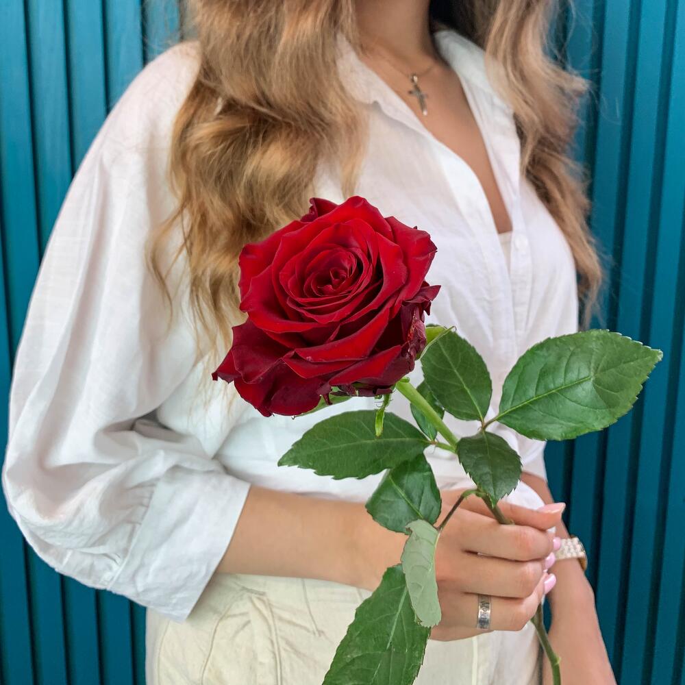 Комплимент из красной эквадорской розы – минимализм роскоши Цивильск Чувашская Республика