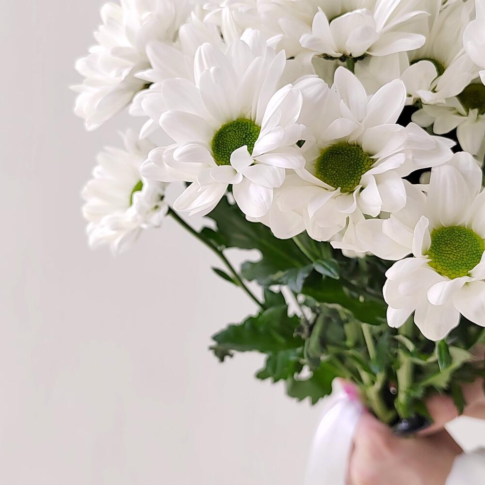 Букет «Ромашка» – 9 белоснежных хризантем в деревенском стиле Цивильск Чувашская Республика