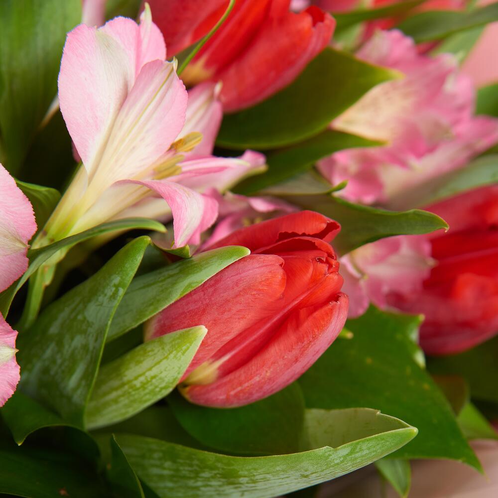 Букет «Первый поцелуй» красных тюльпанов и розовых альстромерий Цивильск Чувашская Республика