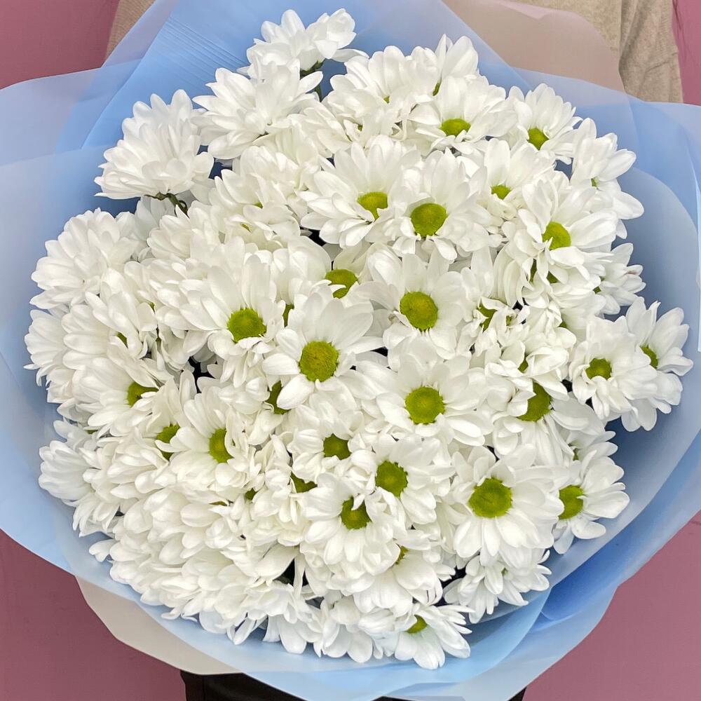 Букет «Ромашковое поле» – свежесть белых хризантем Цивильск Чувашская Республика