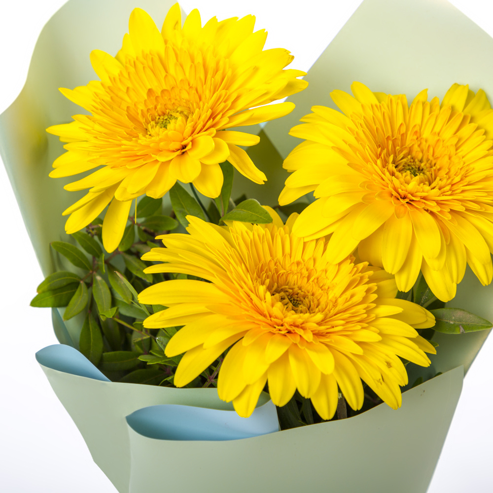 Яркий букет из 3 жёлтых гербер – частичка солнечного света Цивильск Чувашская Республика