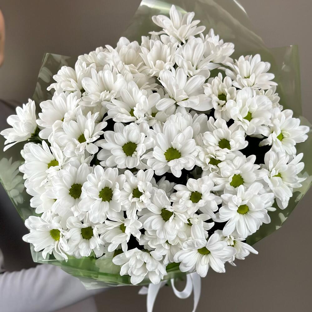 Букет «Мечты о лете» – свежесть белых хризантем Цивильск Чувашская Республика