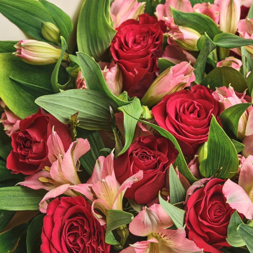 Букет «Нежность слов» — гармония красных роз и нежных альстромерий Цивильск Чувашская Республика