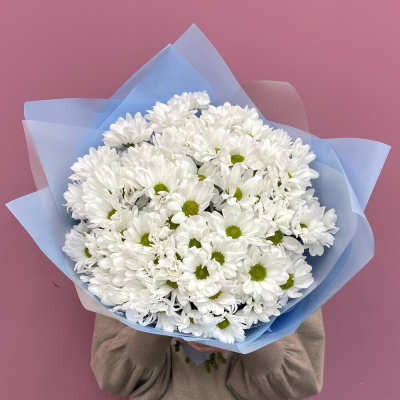 Букет «Ромашковое поле» – свежесть белых хризантем Цивильск Чувашская Республика