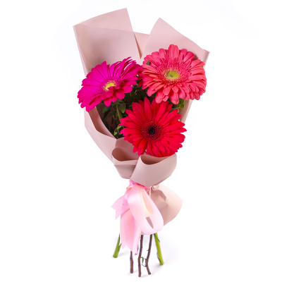 Яркий букет из 3 разноцветных гербер – маленькое чудо в ваших руках Цивильск Чувашская Республика