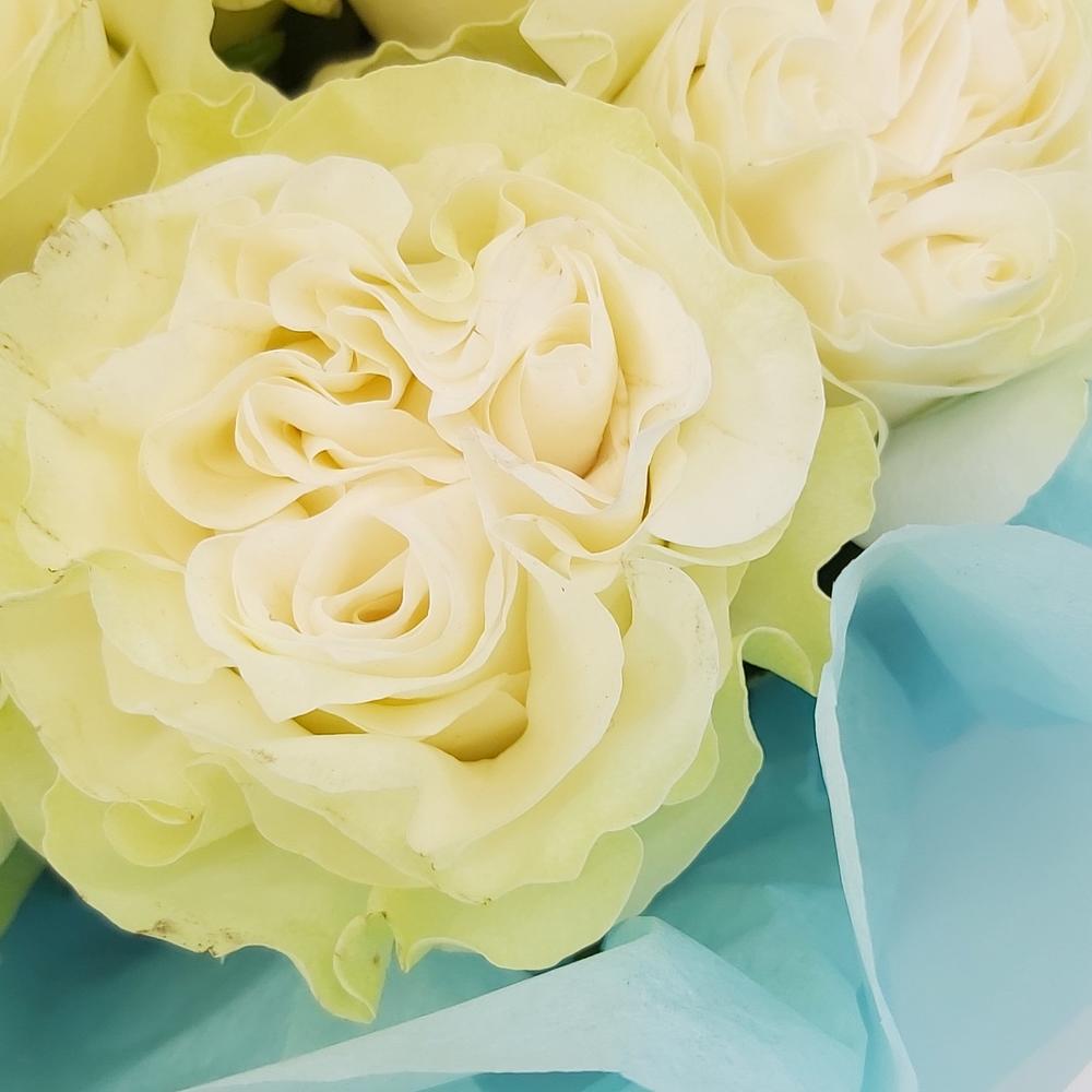 Букет «Кружевное облачко» – 11 белоснежных роз в нежной упаковке Цивильск Чувашская Республика