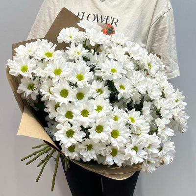 Букет «Летняя свежесть» – дыхание лета в белых хризантемах Цивильск Чувашская Республика