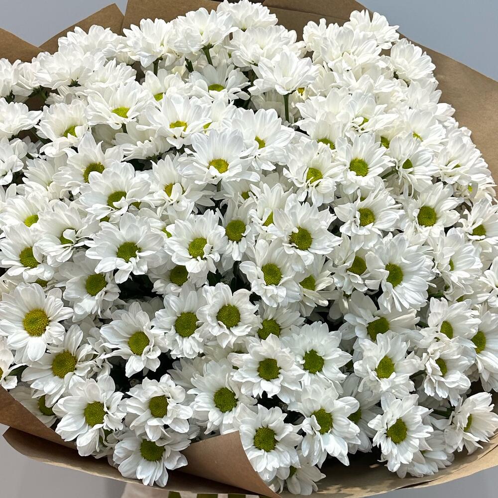 Букет «21 ромашка» – нежные белые кустовые хризантемы в натуральном стиле Цивильск Чувашская Республика
