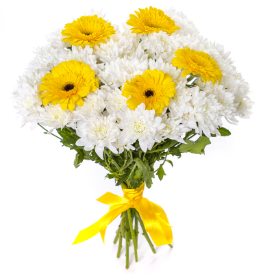 Солнечный букет из желтых гербер и белых хризантем – радость в каждом лепестке Цивильск Чувашская Республика