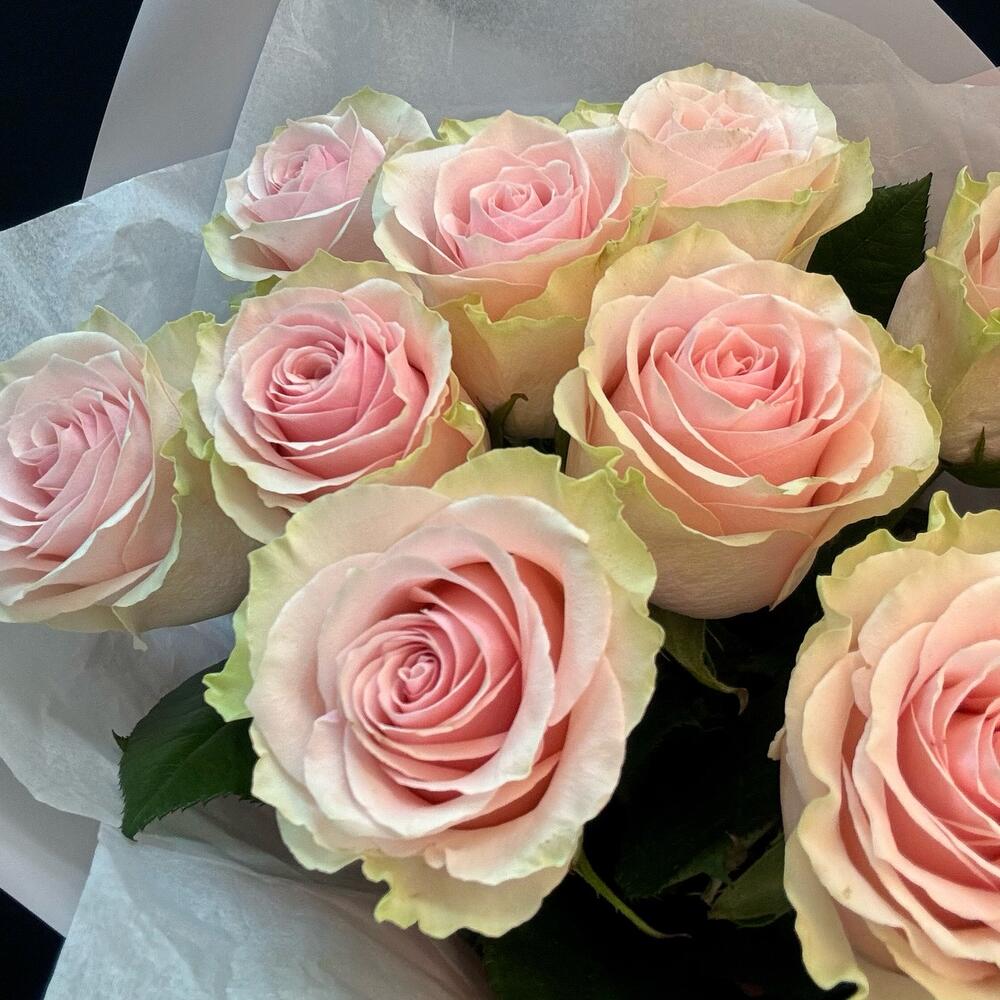 Букет из 9 розовых роз – нежность в каждом лепестке Цивильск Чувашская Республика