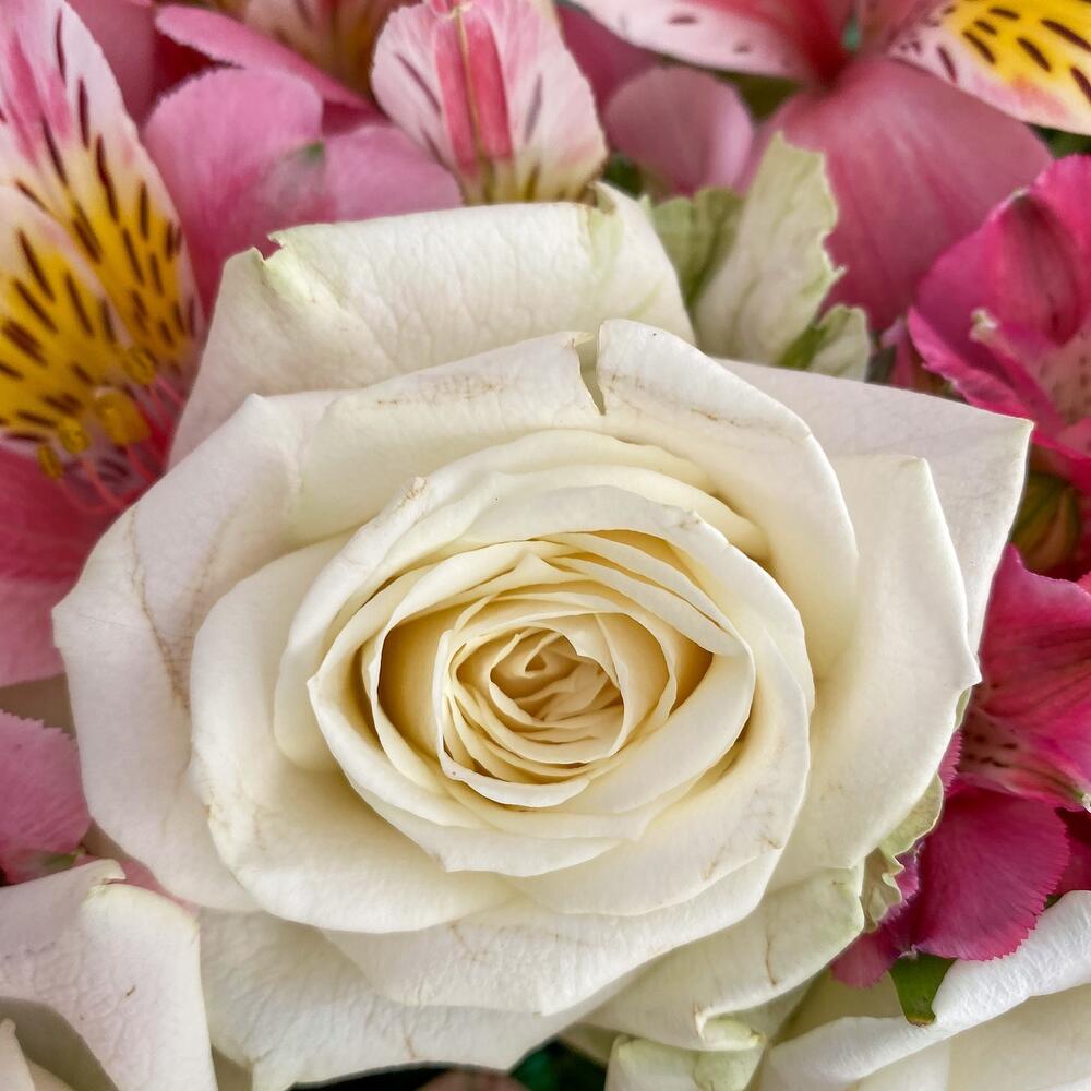 Букет «Николь» – изысканное сочетание роз, кустовых роз и альстромерий Цивильск Чувашская Республика