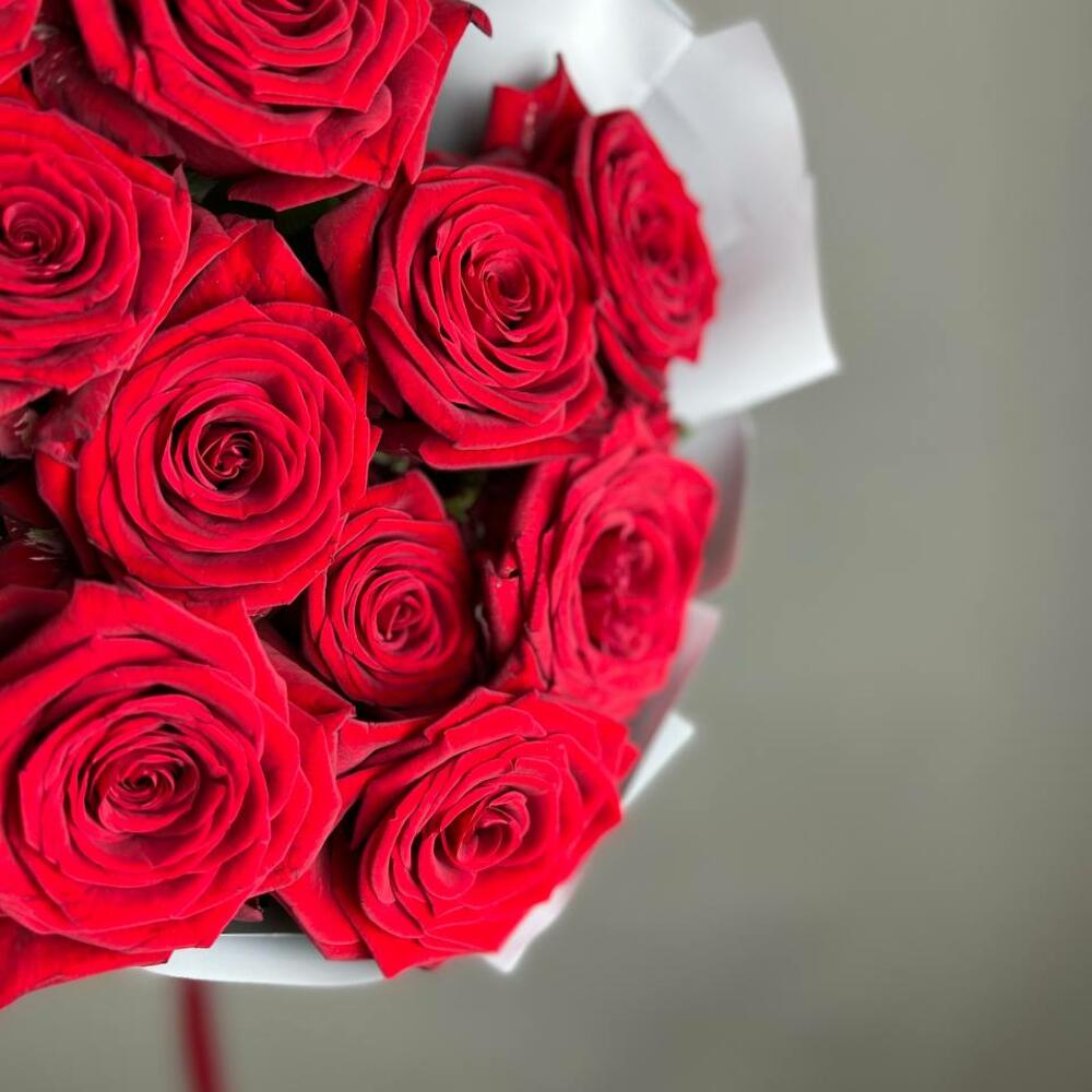 «Королевский бархат» – 25 роскошных красных роз из Эквадора  Цивильск Чувашская Республика