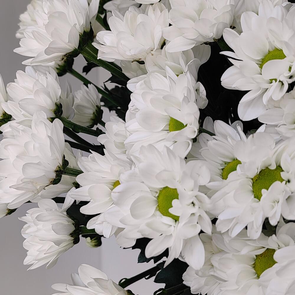 Букет «Ромашка» — свежесть белых хризантем в деревенском стиле Цивильск Чувашская Республика