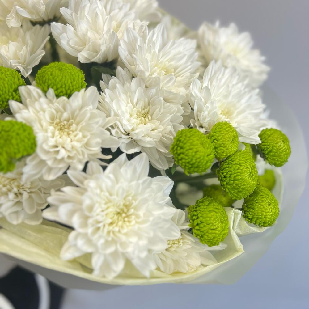 Эксклюзивный букет «Филин Грин» – сочетание белых и зеленых хризантем Цивильск Чувашская Республика