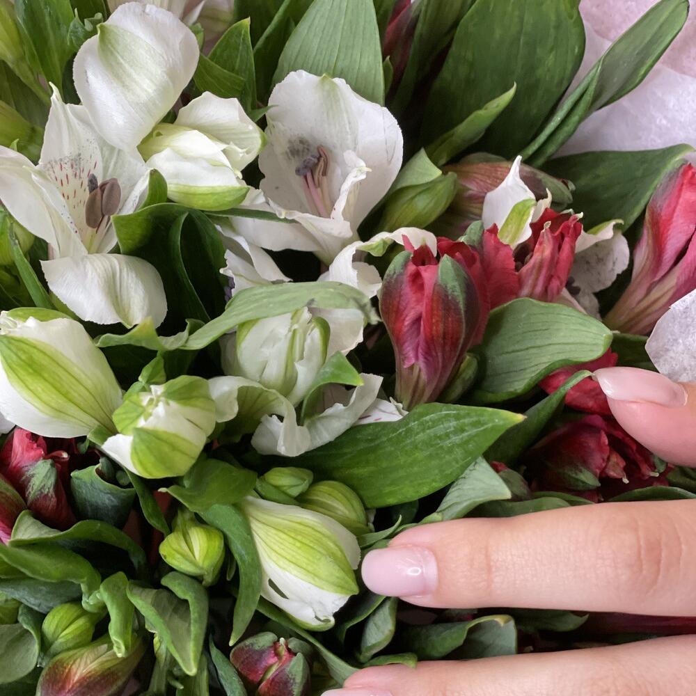 Букет «Люблю»– страсть и чистота в красно-белых альстромериях Цивильск Чувашская Республика