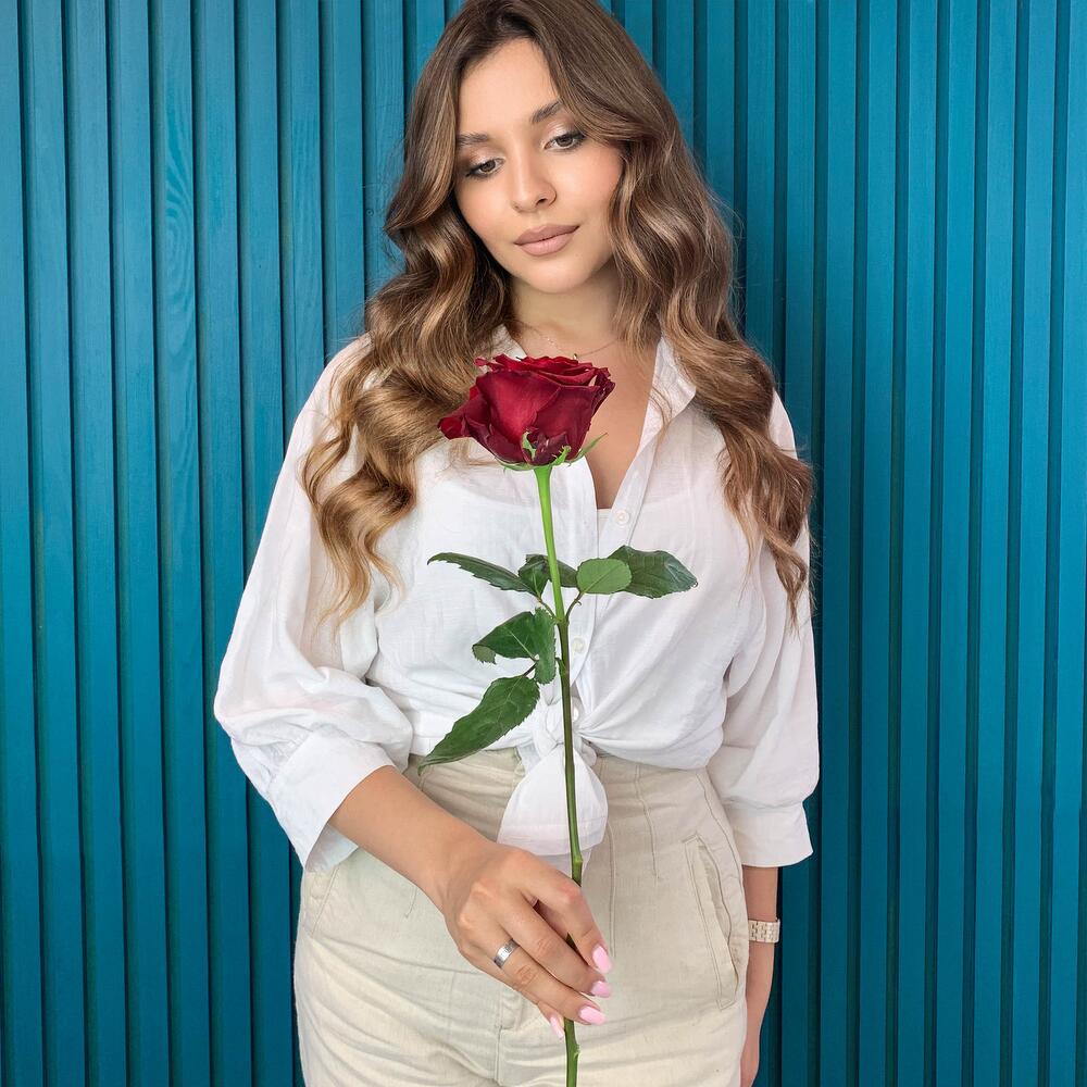 Комплимент из красной эквадорской розы – минимализм роскоши Цивильск Чувашская Республика