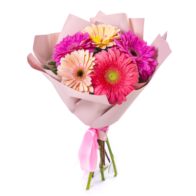 Яркий букет из 5 разноцветных гербер – солнечное настроение в подарок Цивильск Чувашская Республика