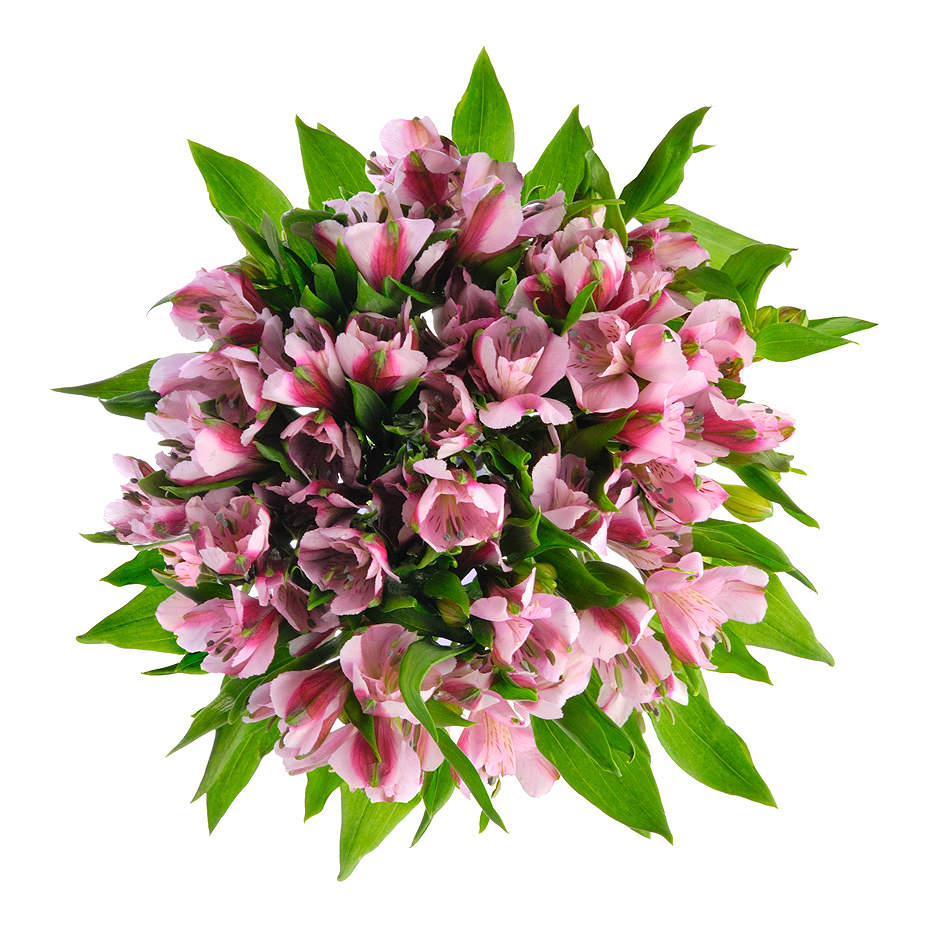 Букет «Хорошее настроение» из розовых альстромерий – солнечный подарок Цивильск Чувашская Республика