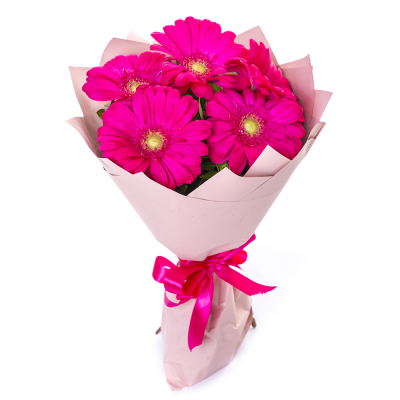 Букет из 5 малиновых гербер – сочный акцент вашего подарка Цивильск Чувашская Республика