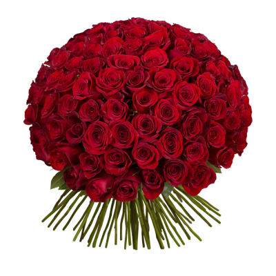 Букет из 101 красной розы – символ бесконечной страсти Цивильск Чувашская Республика