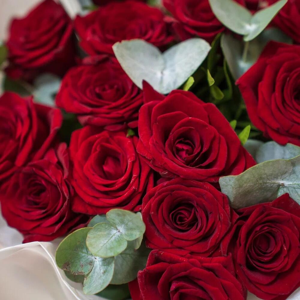 Элегантный букет из 15 красных роз с эвкалиптом – символ страсти и нежности Цивильск Чувашская Республика
