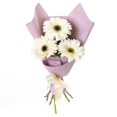 Нежный букет из 3 белых гербер – символ искренности и света Цивильск Чувашская Республика
