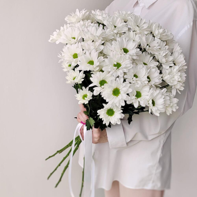 Букет «Ромашка» – 9 белоснежных хризантем в деревенском стиле Цивильск Чувашская Республика