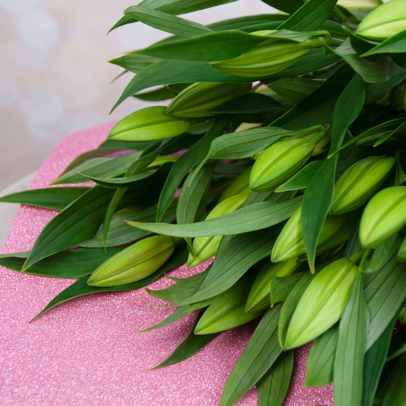 Изысканный букет из 15 свежих лилий – королевский подарок Цивильск Чувашская Республика