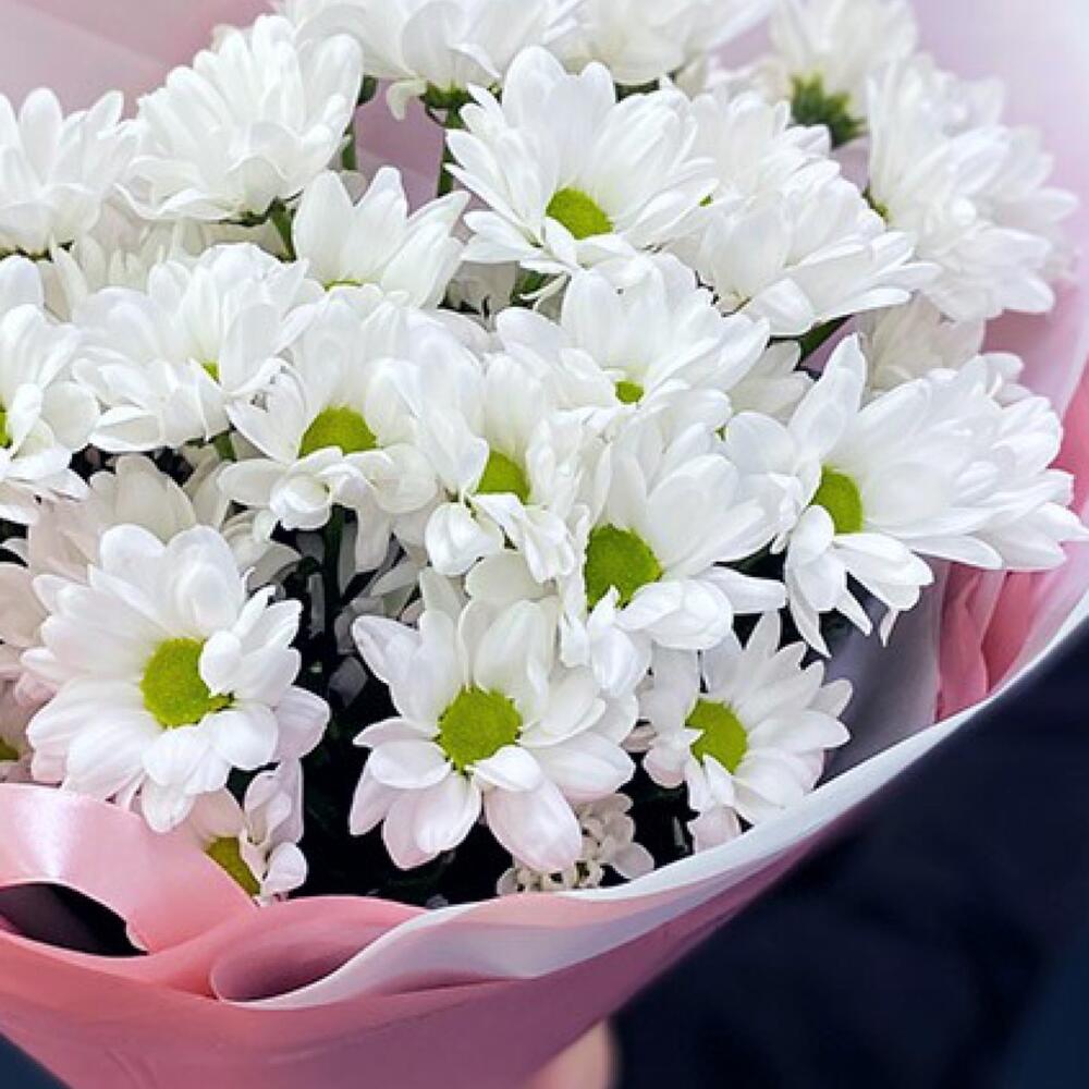 Букет «Розовое счастье» – нежность белых хризантем Цивильск Чувашская Республика
