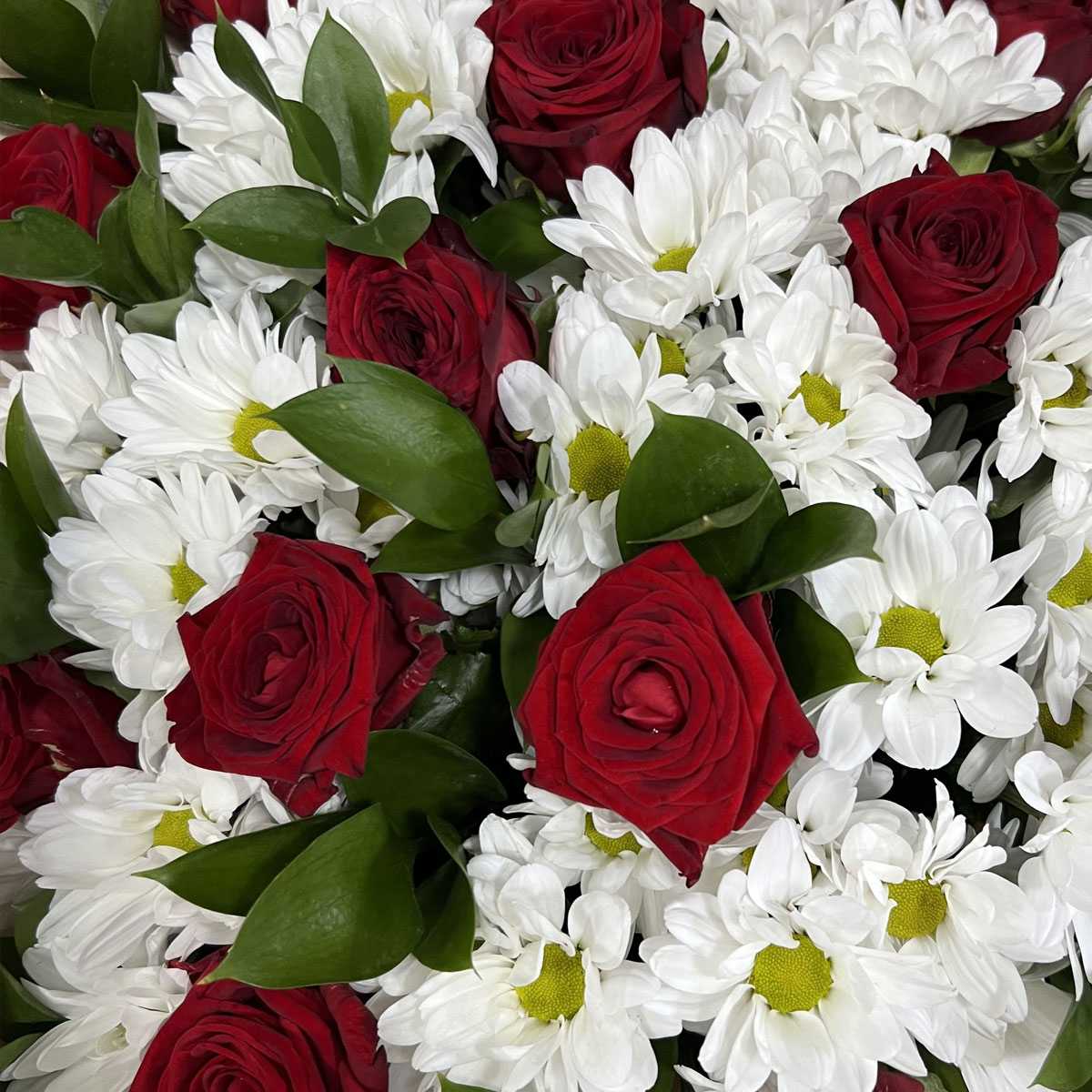 Букет «Романтика» — гармония красных роз и белоснежных хризантем Цивильск Чувашская Республика