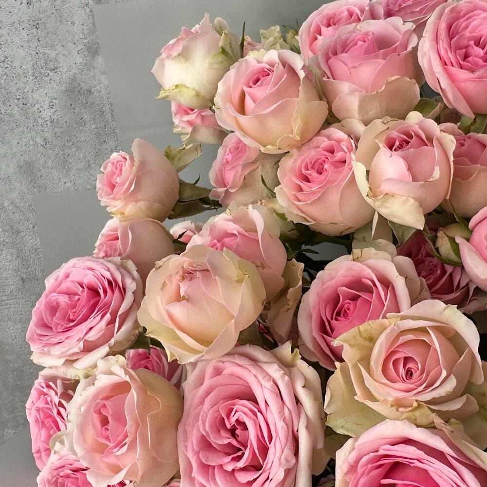 Букет «Нежный аромат» – пышные розовые кустовые розы в элегантной упаковке Цивильск Чувашская Республика