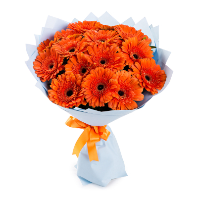 Яркий букет из 15 оранжевых гербер – как кусочек солнца в ваших руках Цивильск Чувашская Республика